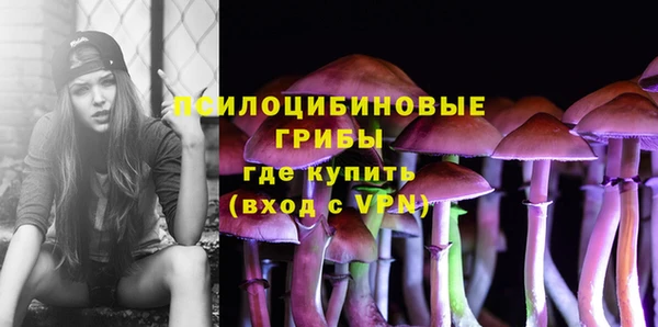 дживик Алзамай