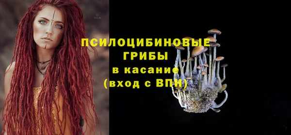 спайс Алексин