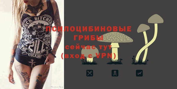 спайс Алексин